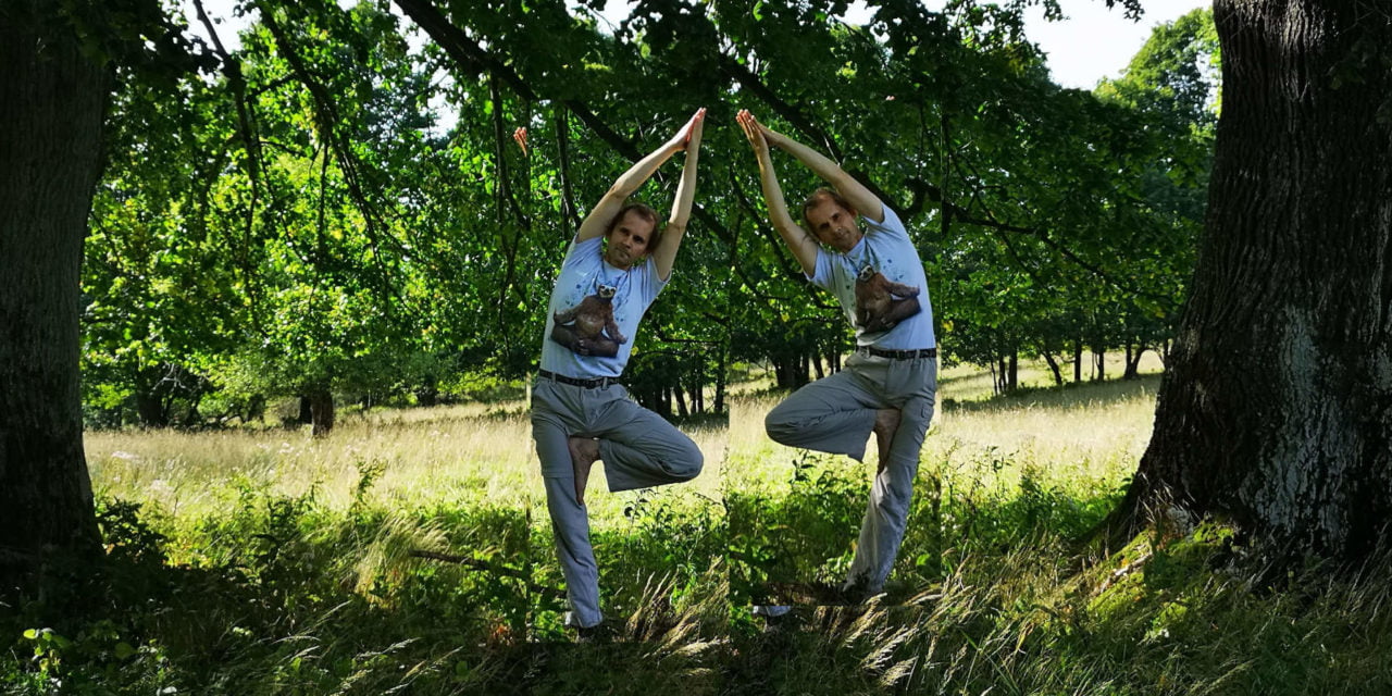 „Żyjące drzewa” – sesja vinyasa jogi. Piotr Bryja